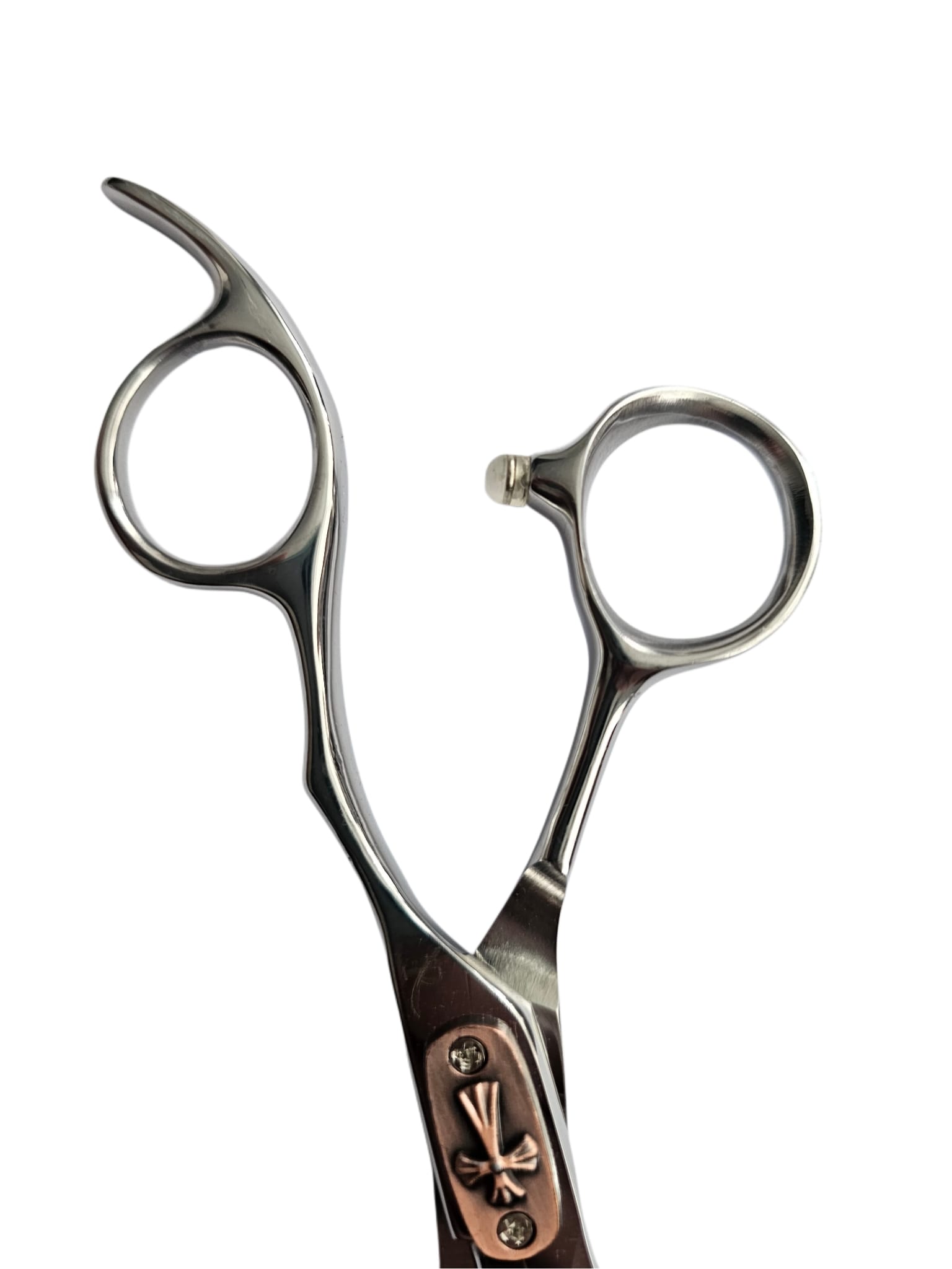 WhatsApp Image 2025-05-24 at 15.20.07_92103aa4