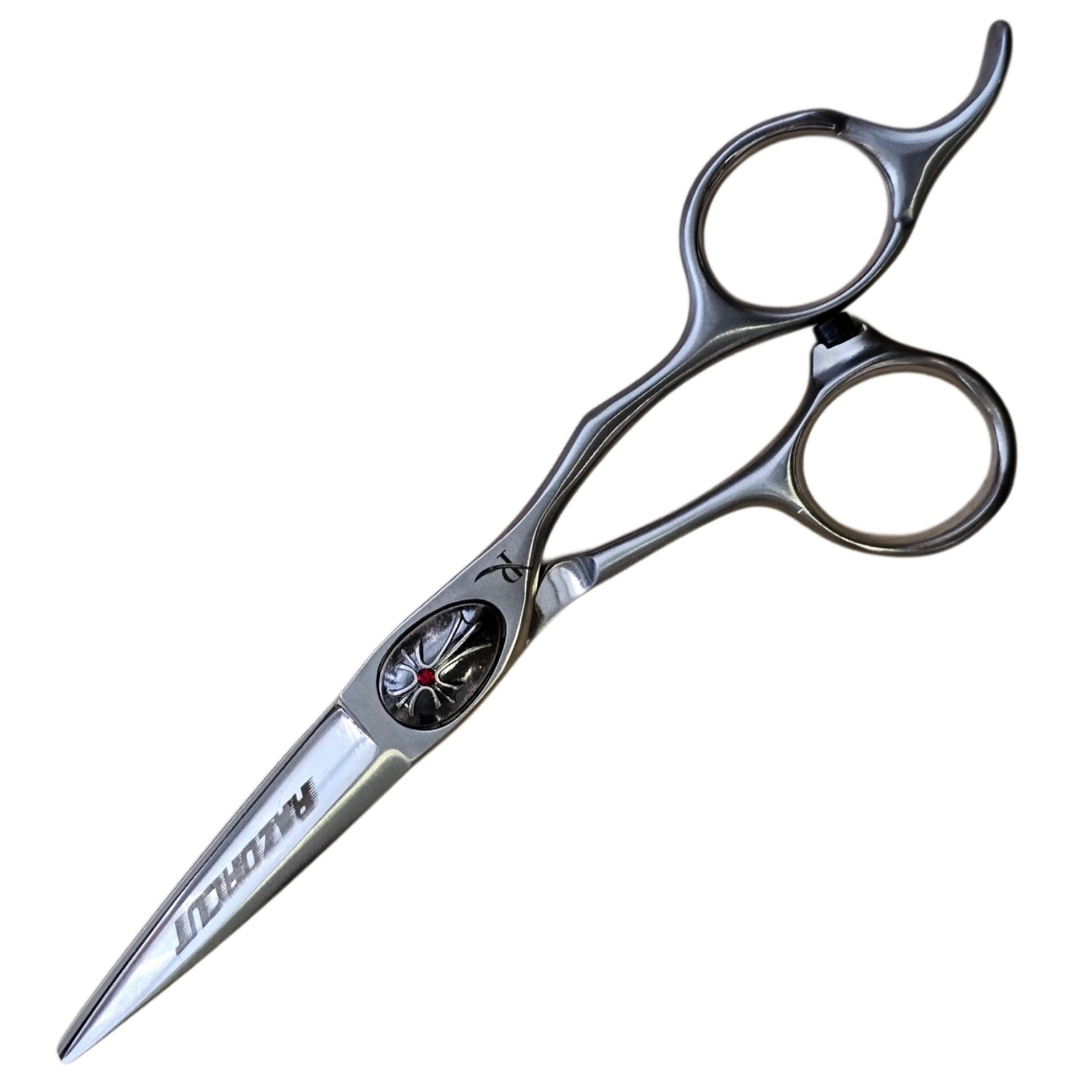 WhatsApp Image 2025-05-27 at 16.34.48_846208e5