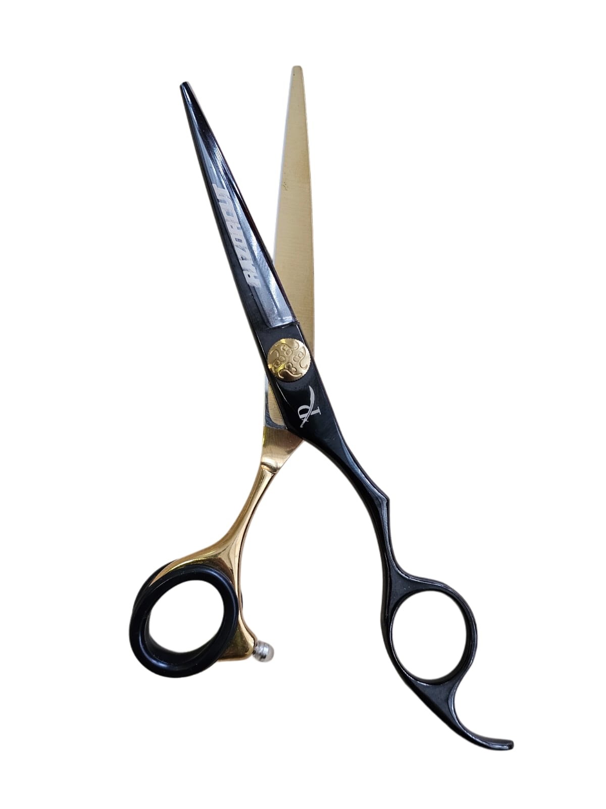 WhatsApp Image 2025-05-27 at 22.44.01_45dc5cf4