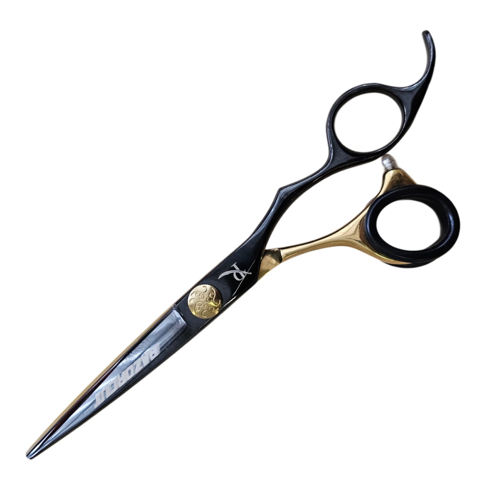 WhatsApp Image 2025-05-27 at 22.44.01_79be37e8