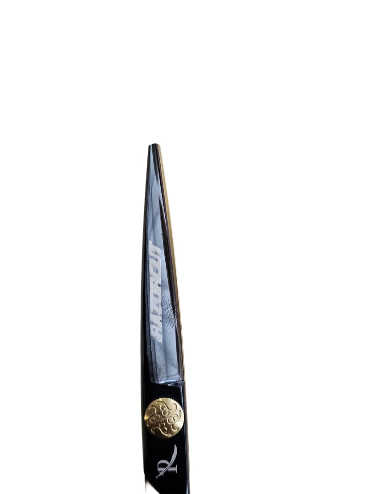 WhatsApp Image 2025-05-27 at 22.44.02_8df1a2e5