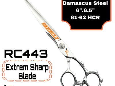 Scissor